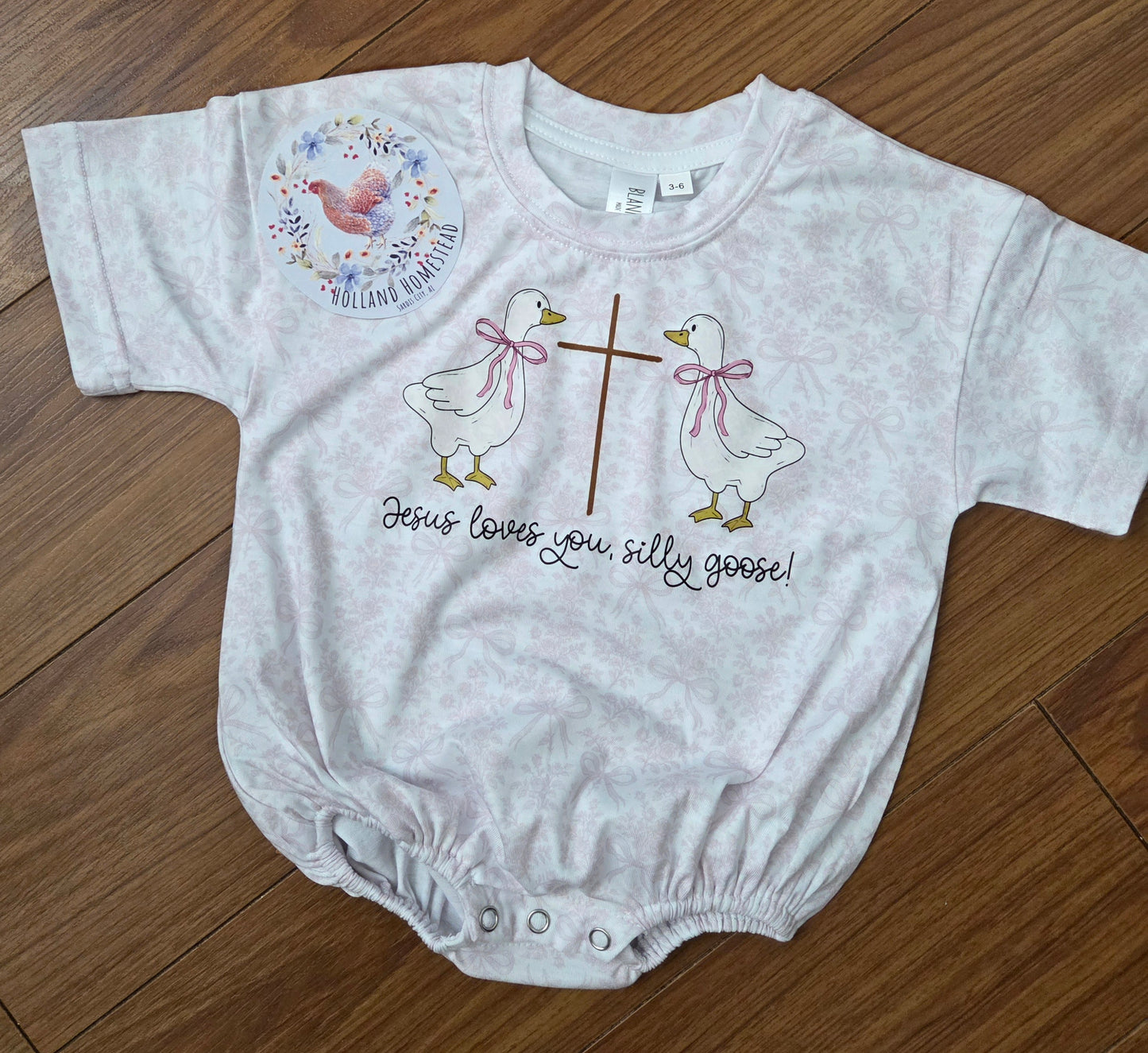 Jesus loves you silly goose (girl and boy options)