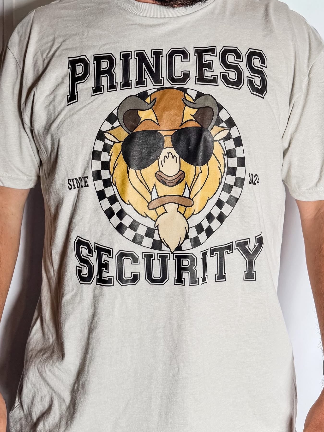Princess Security
