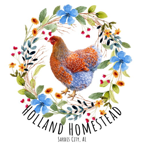 Holland Homestead
